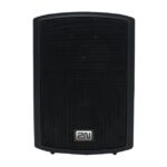 Ein schwarzer Lautsprecher mit einem „2N“-Logo an der Vorderseite.