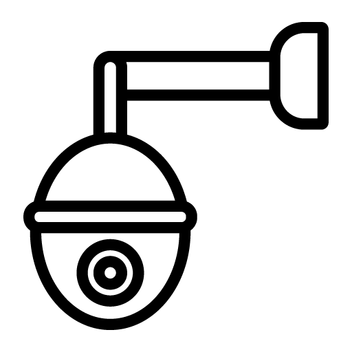 PTZ Domes