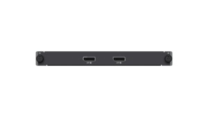Rückseite eines elektronischen Geräts mit zwei DisplayPort-Anschlüssen, beschriftet mit 'DP 1' und 'DP 2', sowie zwei Knöpfen an den Seiten mit der Aufschrift 'IN'.