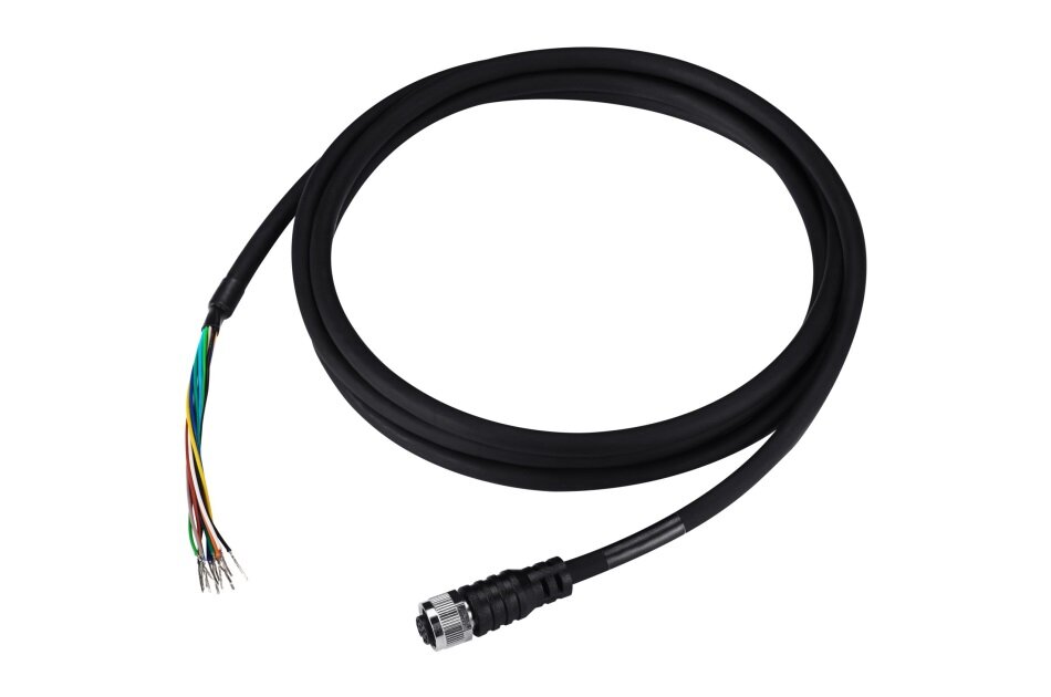 Ein schwarzes Kabel mit einem Stecker an einem Ende und offenen Drähten am anderen.