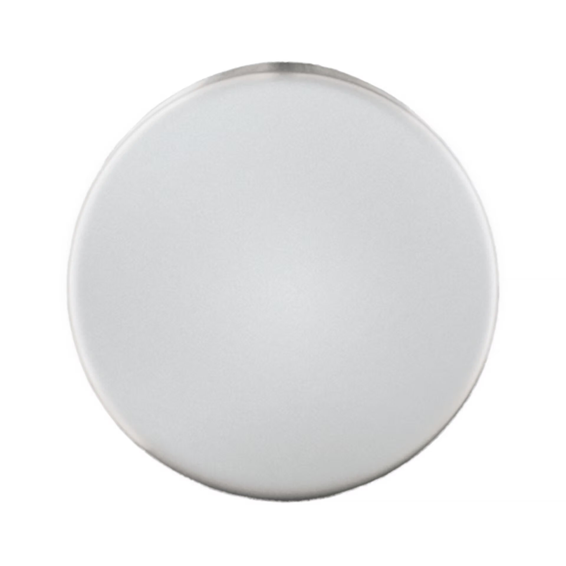 Runder, weißer Teller vor neutralem Hintergrund.