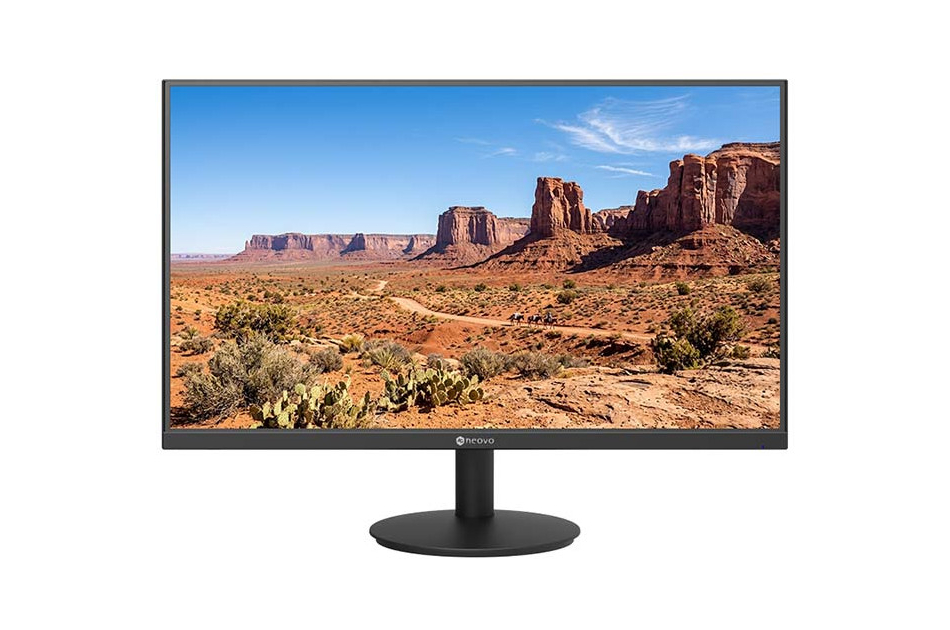 Neovo-Monitor mit Landschaftsaufnahme einer roten Wüstenlandschaft mit Tafelbergen und Kakteen