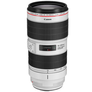 Canon EF 70-200mm f/2,8L IS III USM – LEF7020028CA3 Telezoom-Objektiv mit konstanter Lichtstärke f/2,8 und 3,5-Stufen-Bildstabilisator