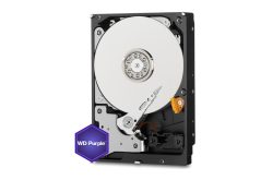 Interne Festplatte, teilweise geöffnet, um die Platten und den Lesekopf zu zeigen. Ein sechseckiger "WD Purple"-Sticker ist auf der unteren linken Seite zu sehen.