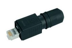 Steckverbinder mit RJ45-Stecker und schwarzem Gehäuse.
