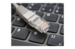 Ein Ethernet-Kabel liegt auf einer Computertastatur, wobei der Stecker deutlich zu sehen ist.