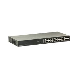 Ein schwarzes, rechteckiges Netzwerk-Switch-Gerät mit 24 Ethernet-Ports und zwei Lüftungsschlitzen an der Seite.